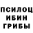 Псилоцибиновые грибы мухоморы S Saha