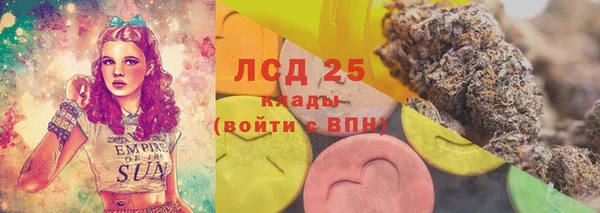 ПСИЛОЦИБИНОВЫЕ ГРИБЫ Магас